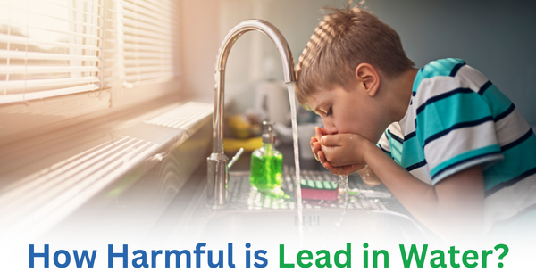 Health Impacts of Lead in Water