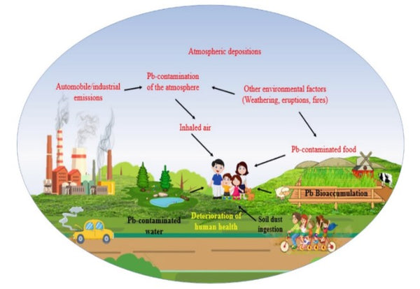 Lead Effects on people and the world