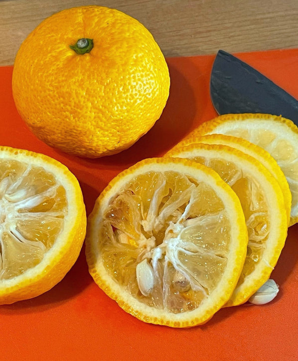 Yuzu Slicing Dehydrating Japanese Garnish Gin Tonic