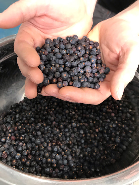 Hidden Curiosities Gin Batch No. 8 Macedonian Juniper Berries Oily Mouthfeel