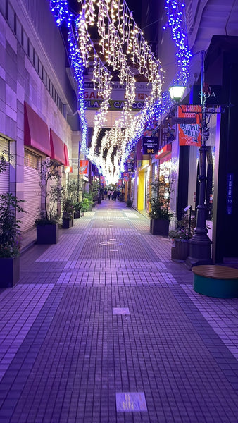 Tokyo Illumination Christmas
