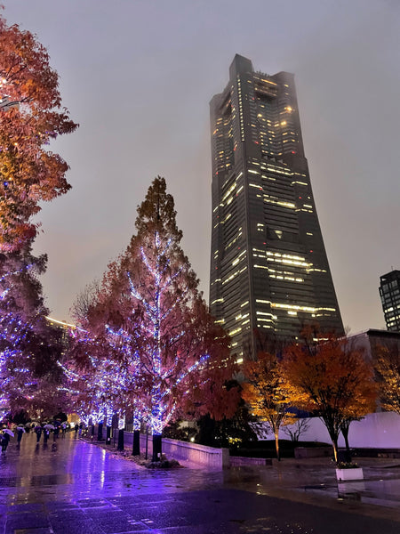 Yokohama Landmark Tower Christmas Lights Illuminations