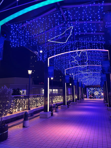 Christmas Lights in Yokohama