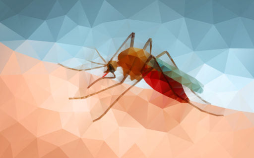 Mosquito Malaria History of Tonic Water
