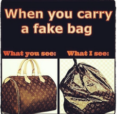 What I see when you carry a fake bag