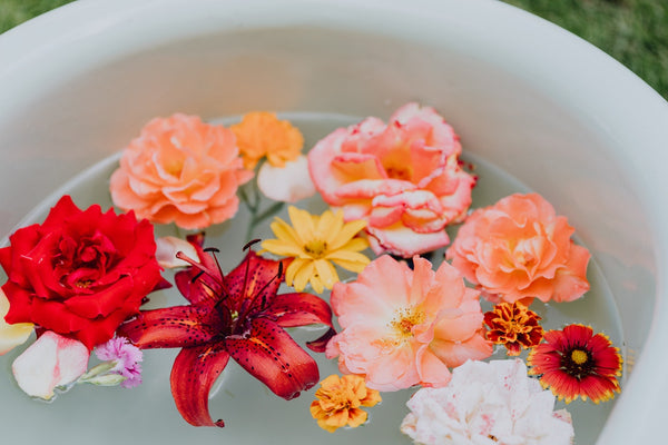 a group of flowers in a bathtub