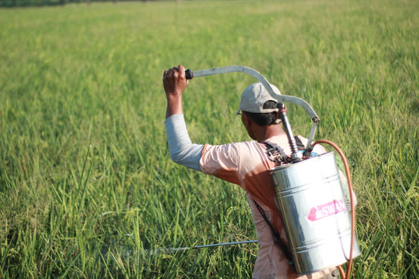 a man spraying pesticides in a field