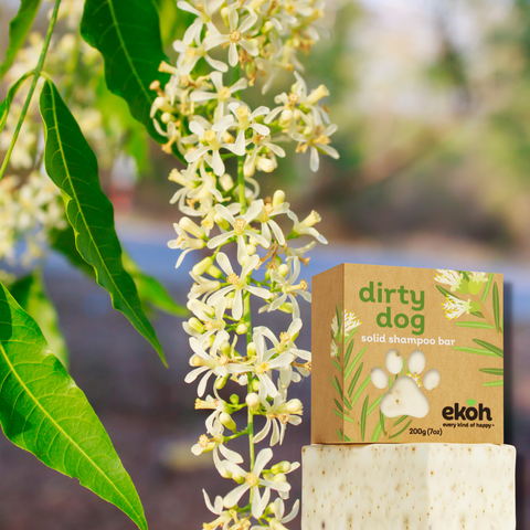 Neem plants dirty dog shampoo bar