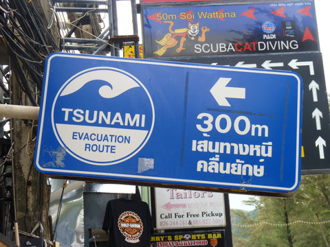 évacuation tsunami