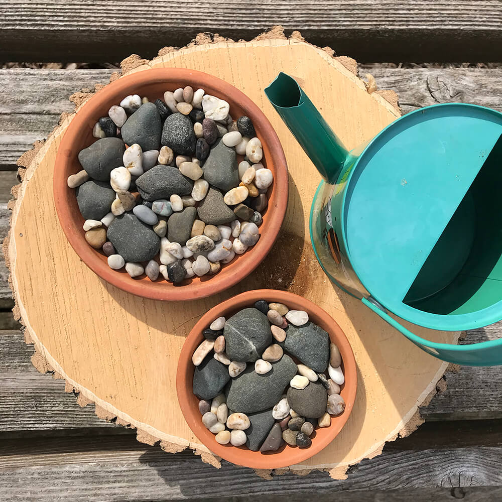 Bee watering station