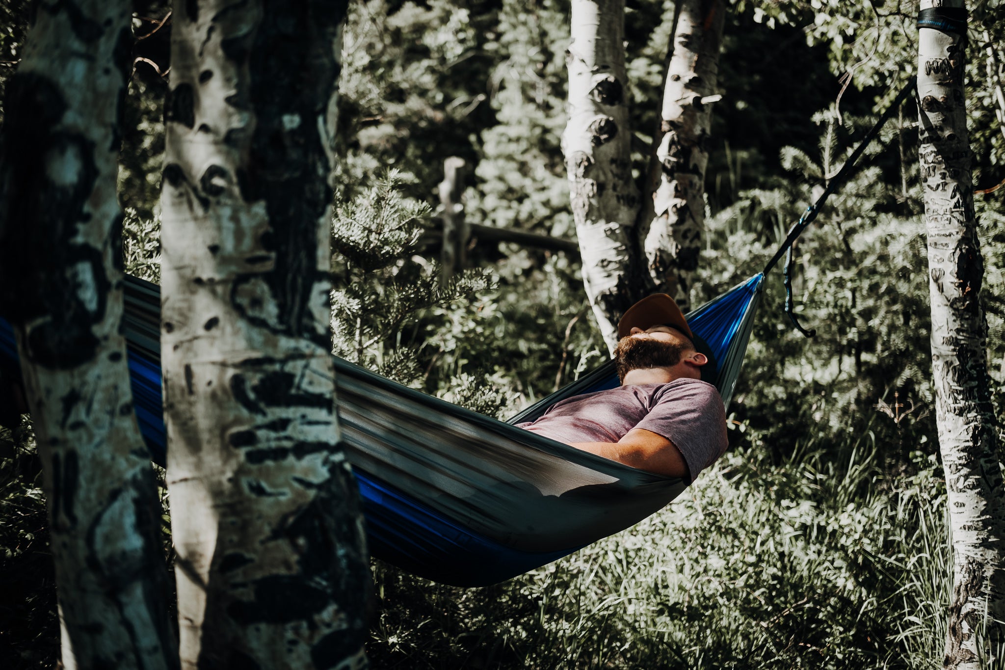 man sleeping in a hammock in the woods