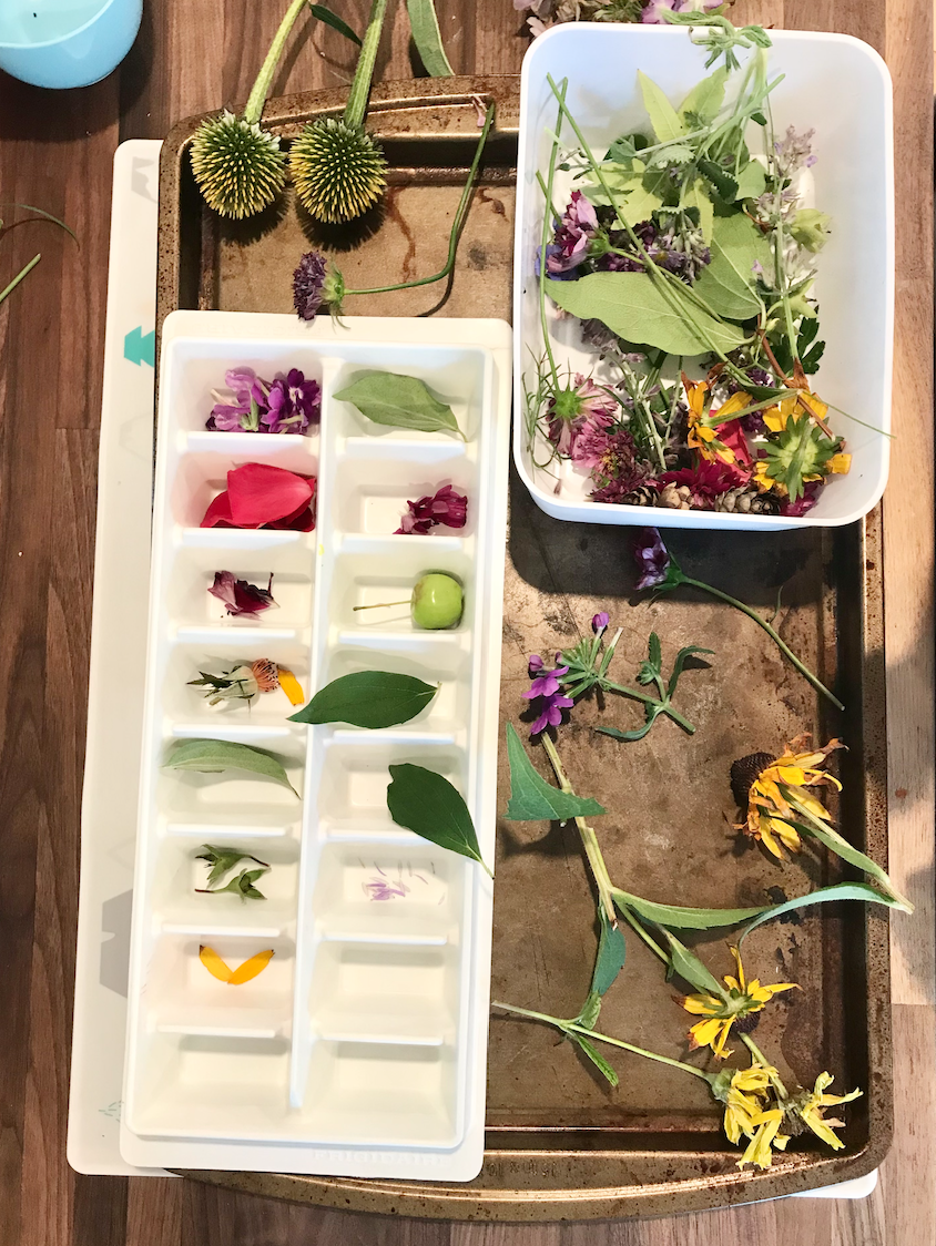 Placing flowers in an ice tray