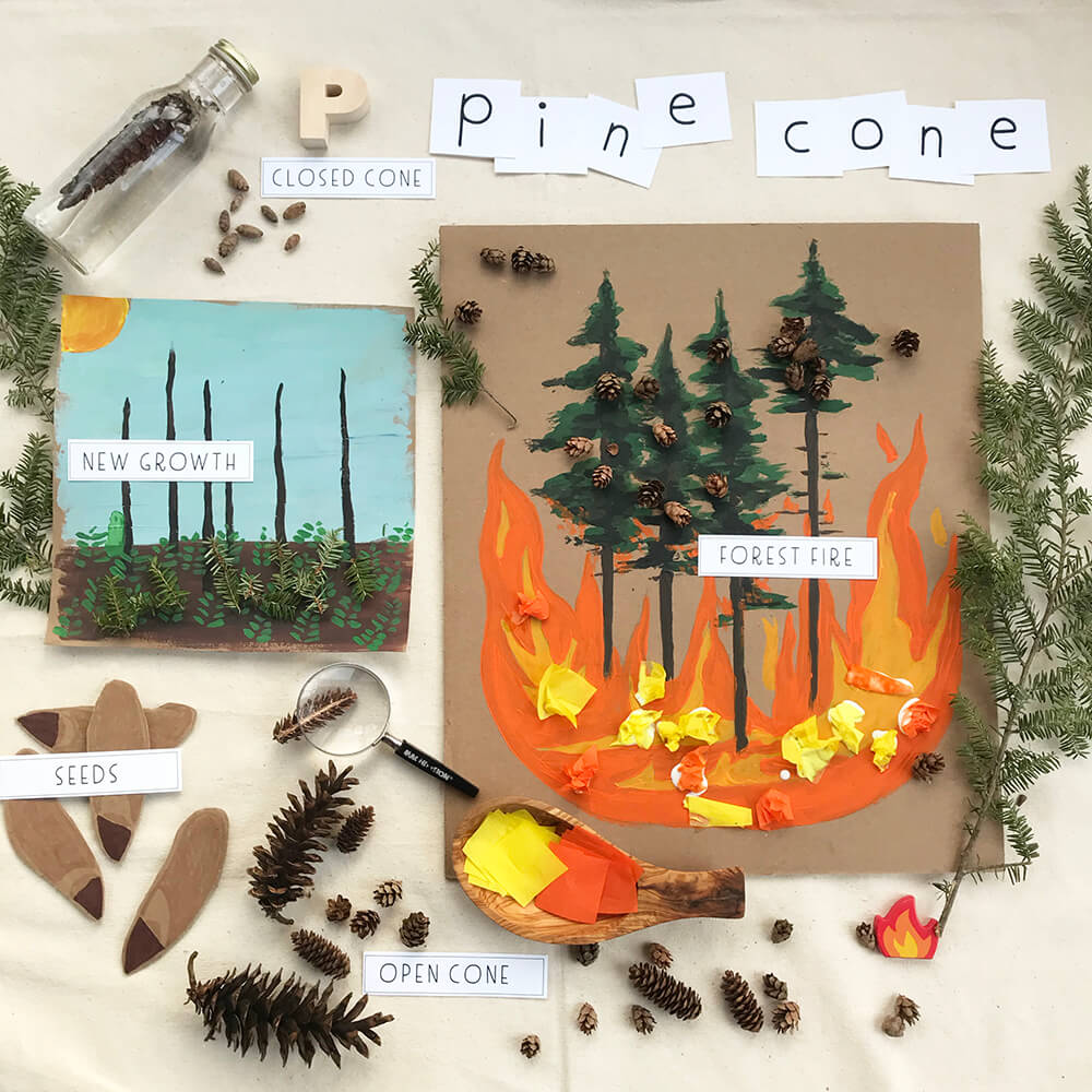 p is for pinecone paper