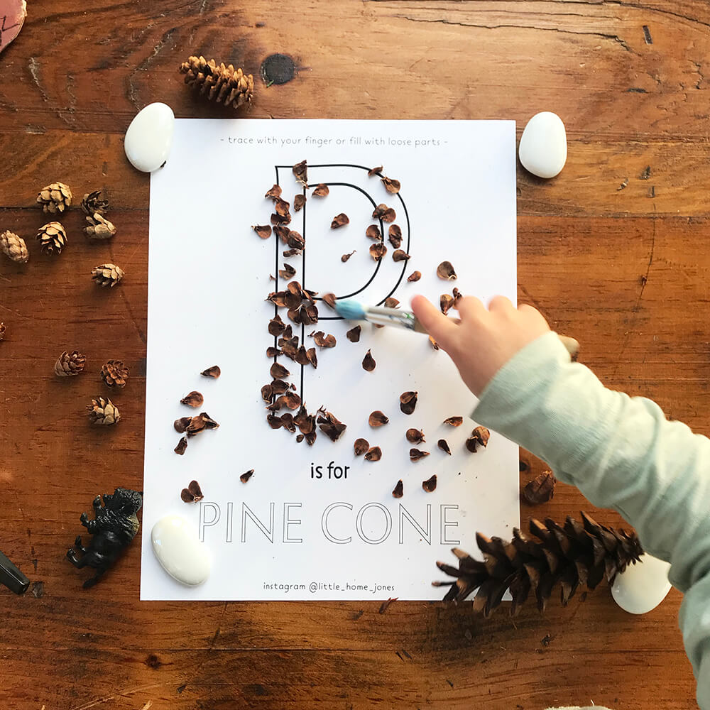 pinecones project