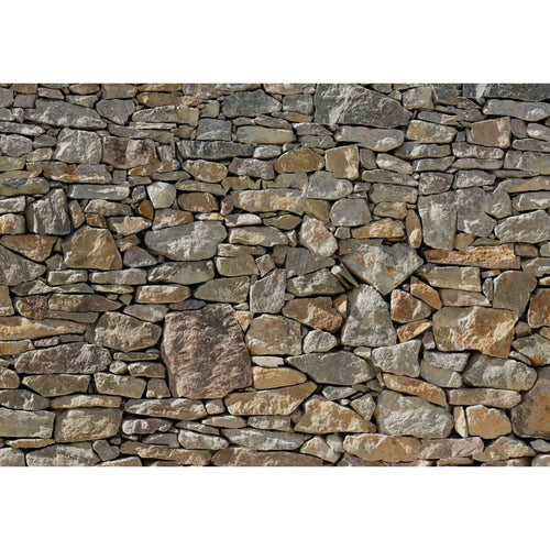 Komar Fototapet mural Stone Wall, 368 x 254 cm, 8-727 Lando