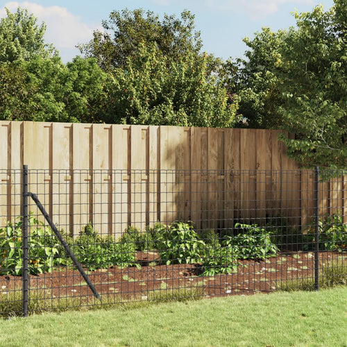 Gard plasă de sârmă cu țăruși de fixare, antracit, 1,1x25 m Lando