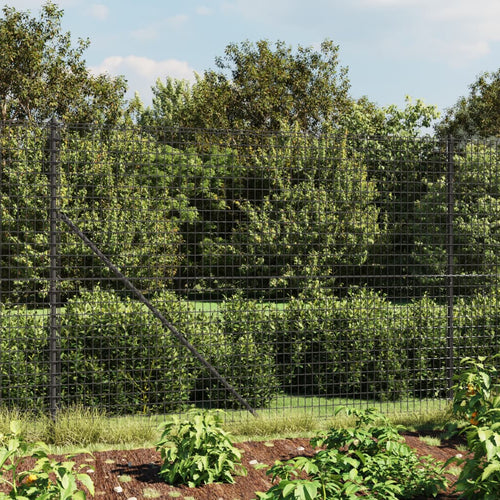 Gard plasă de sârmă cu țăruși de fixare, antracit, 1,6x25 m Lando