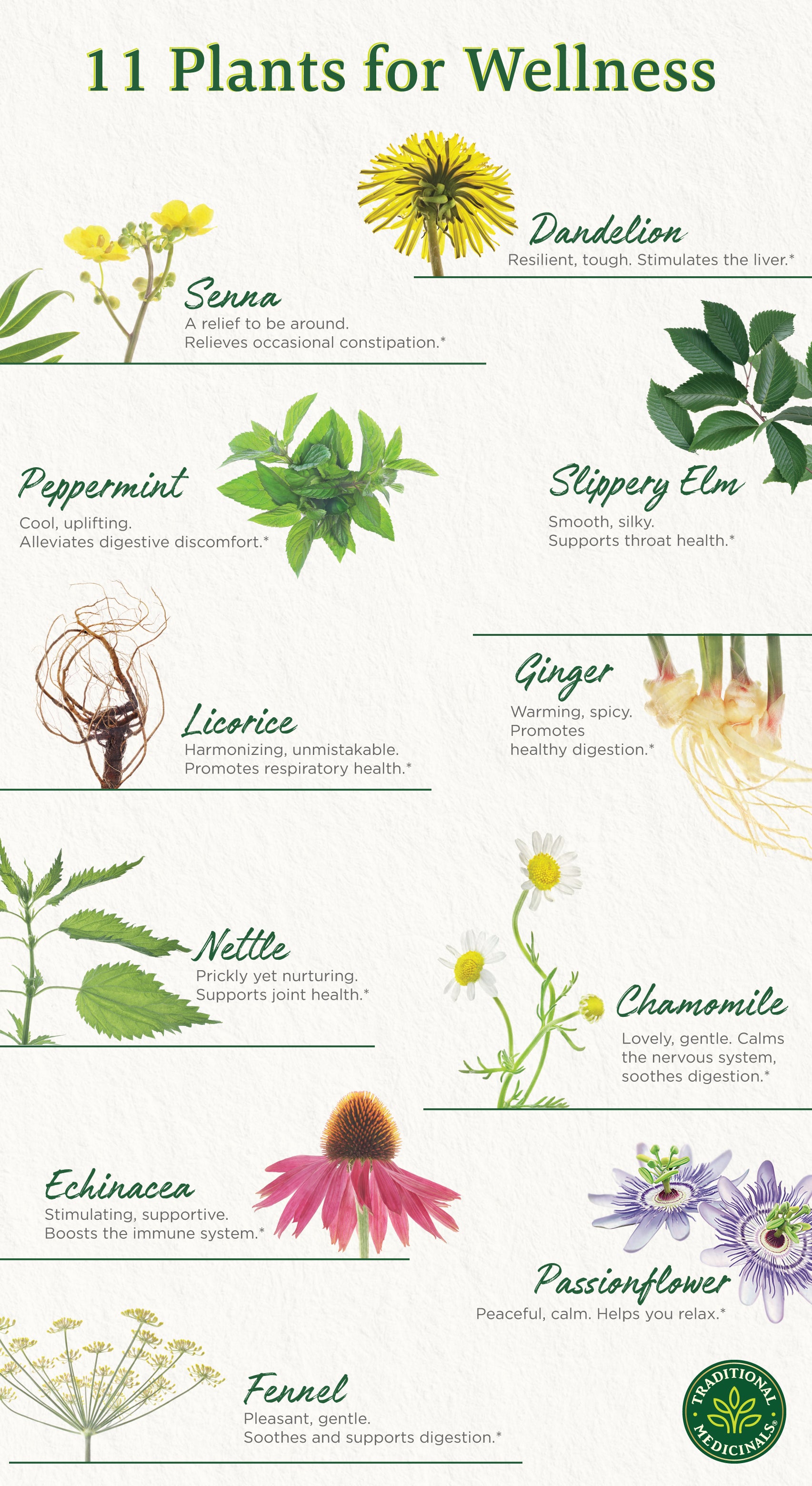 11 plants and herbs and their benefits