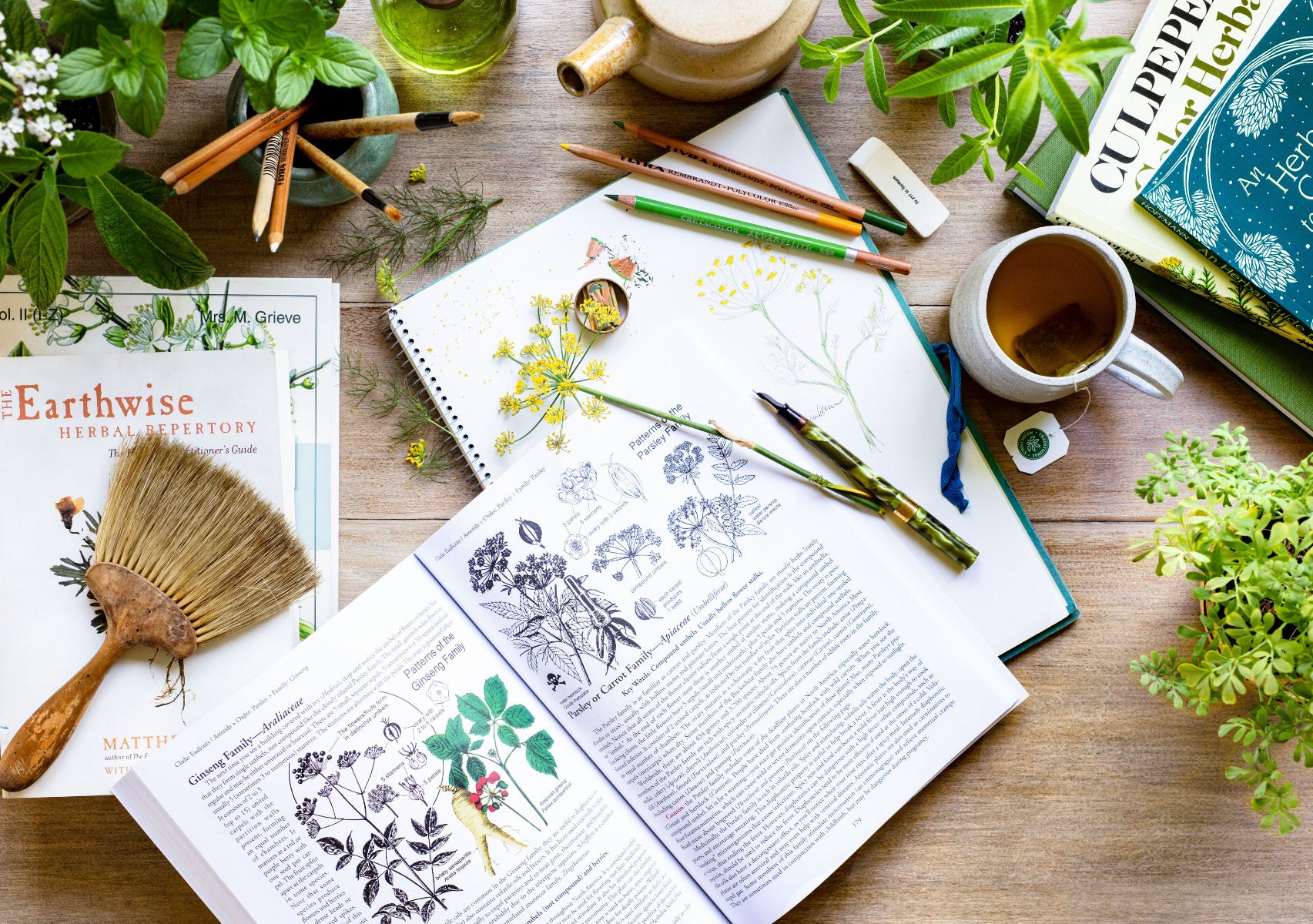 Herbal Medicine Textbooks