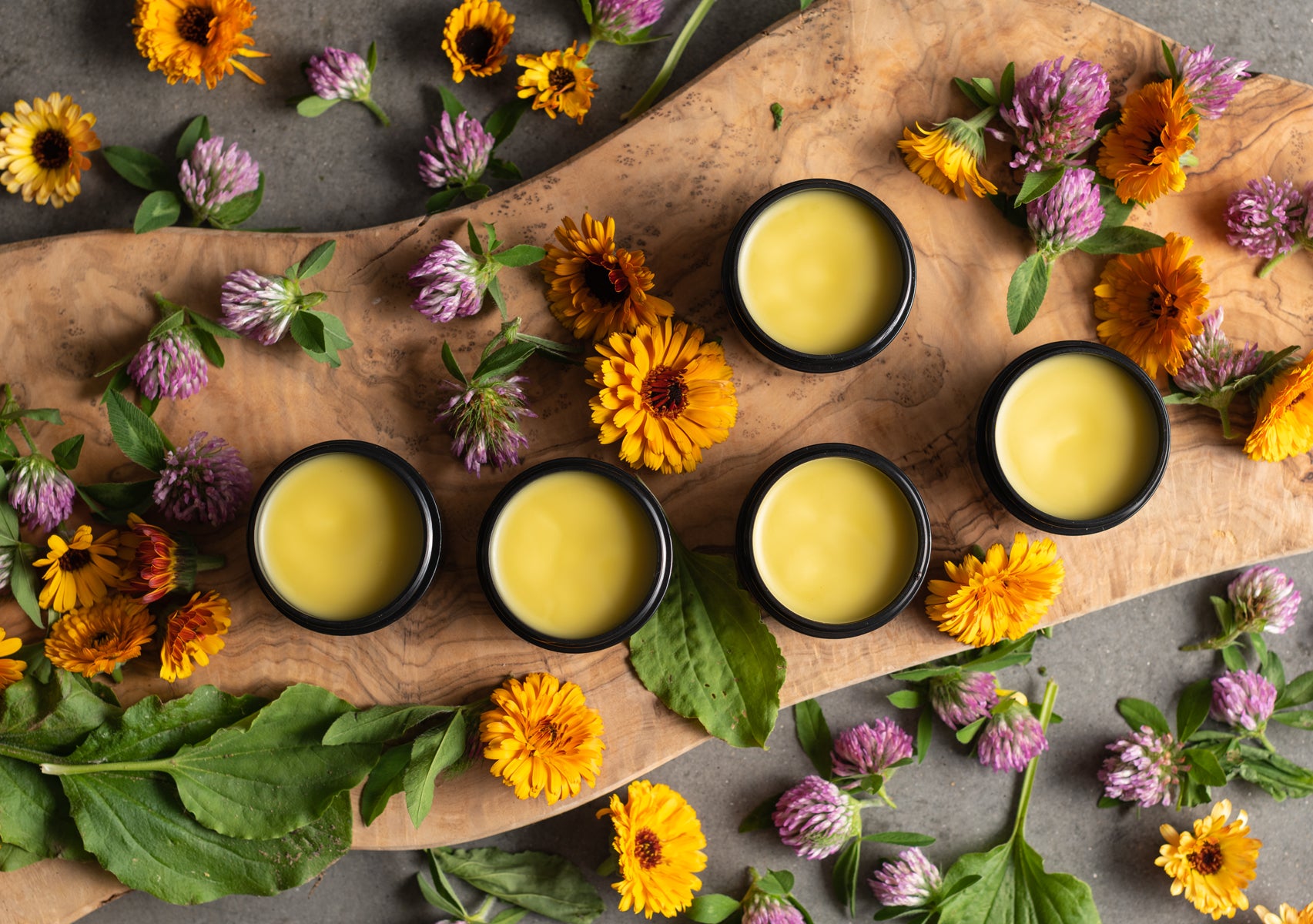 Image of herbal salves on rustic wooden board with calendula, comfrey and red clover strewn about /><p><strong>Step 2: Making the salve</strong></p>
<p><em>Ingredients:</em></p>
<ul>
<li>¾ cup infused herbal oil</li>
<li>¼ cup coconut oil</li>
<li>1 oz beeswax</li>
<li>Optional: 15-18 drops essential oils of your choice – we used geranium and orange essential oils for a fresh and grounded scent.</li>
</ul>
<p><em>Directions:</em></p>
<ol>
<li>Add water to the bottom pot of your double boiler, and then pour your infused oil into the top pot and place above. You can also create a <a href=