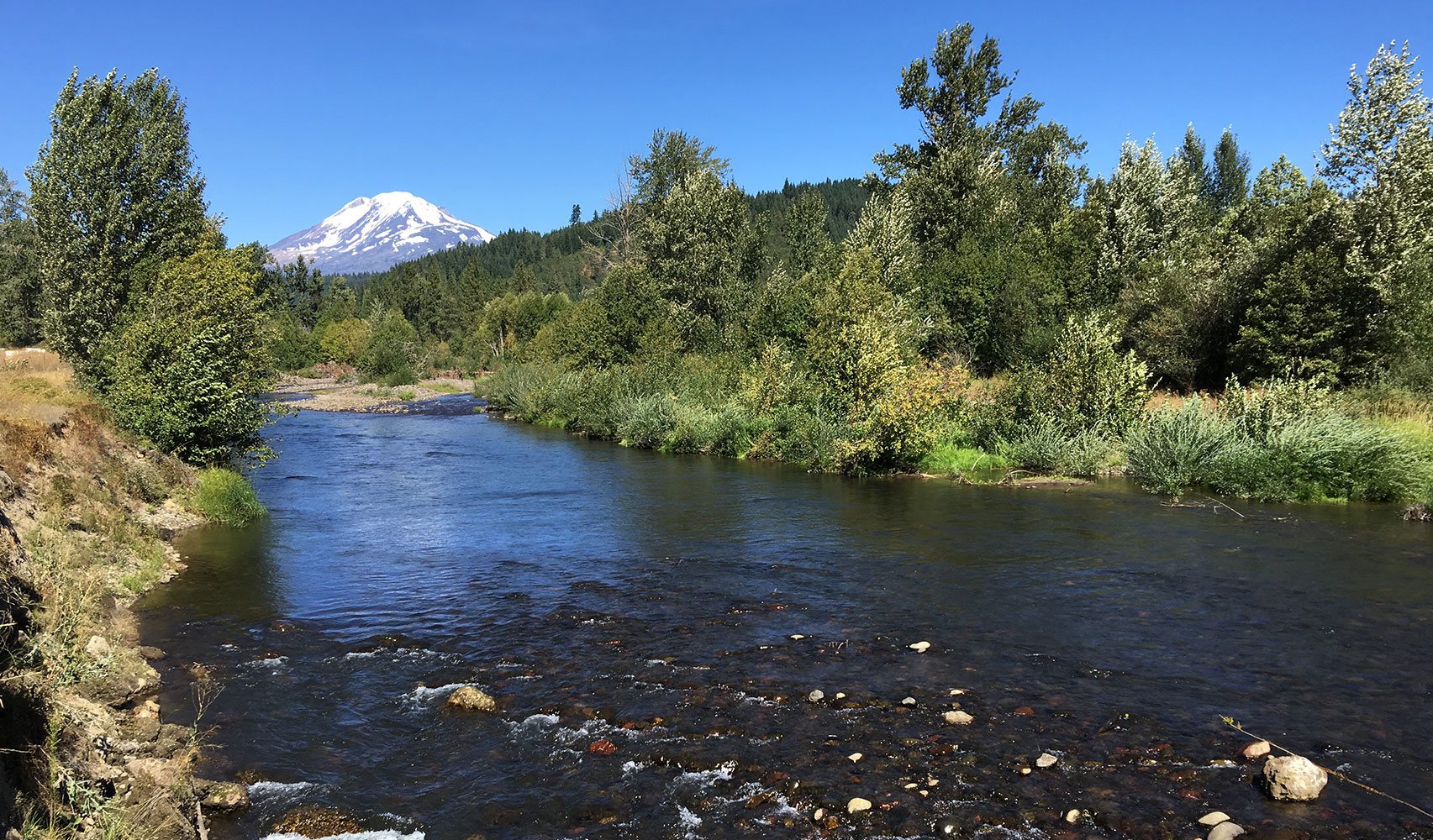 white salmon river