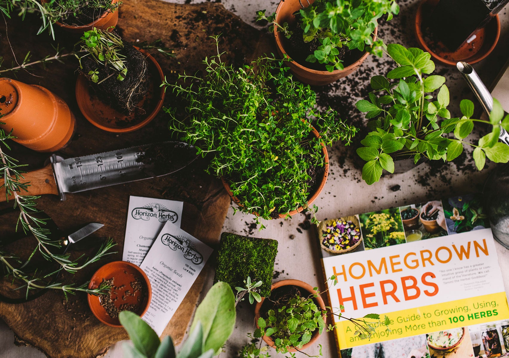 Plants and herb books on table 