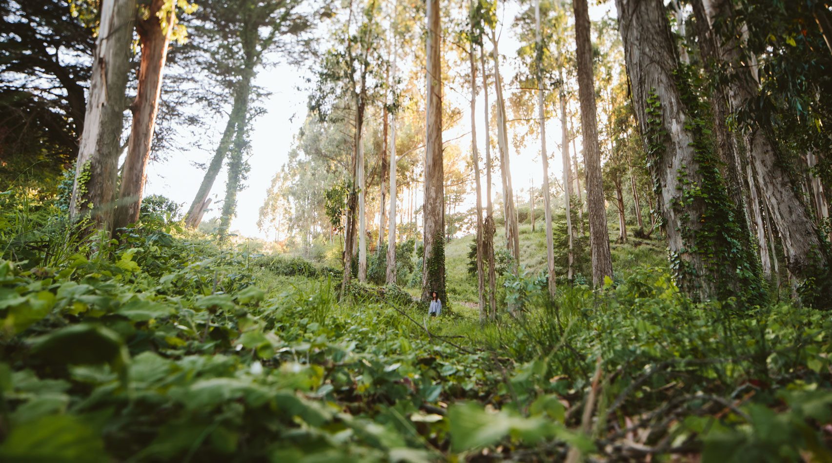 woman in forest