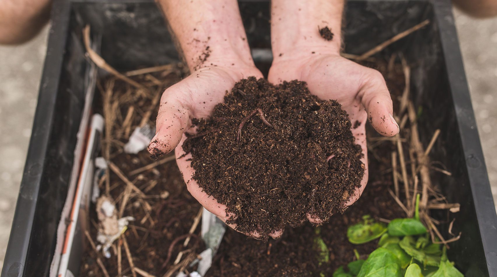 hands holding dirt