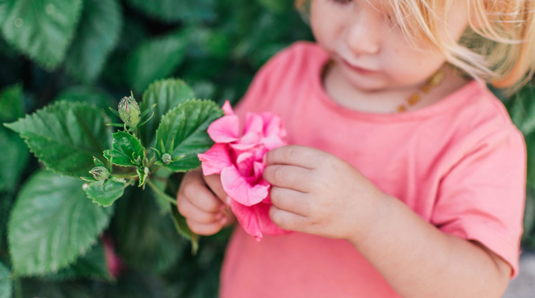 child holding pink flower