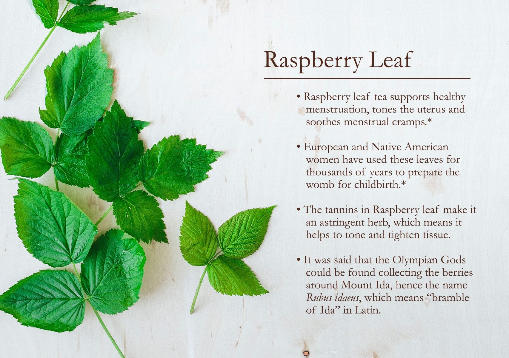 raspberry leaf facts