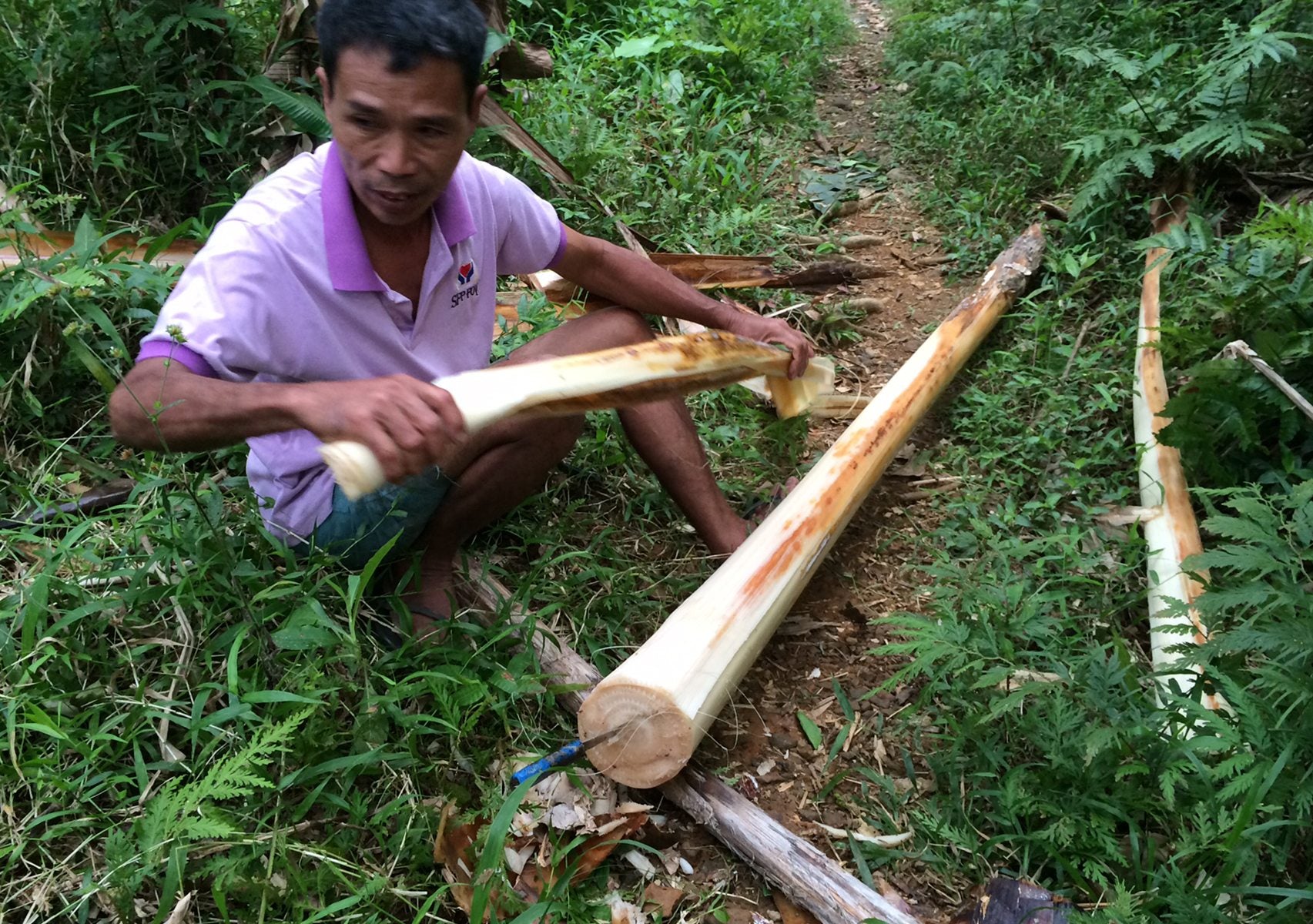 man chopping tree