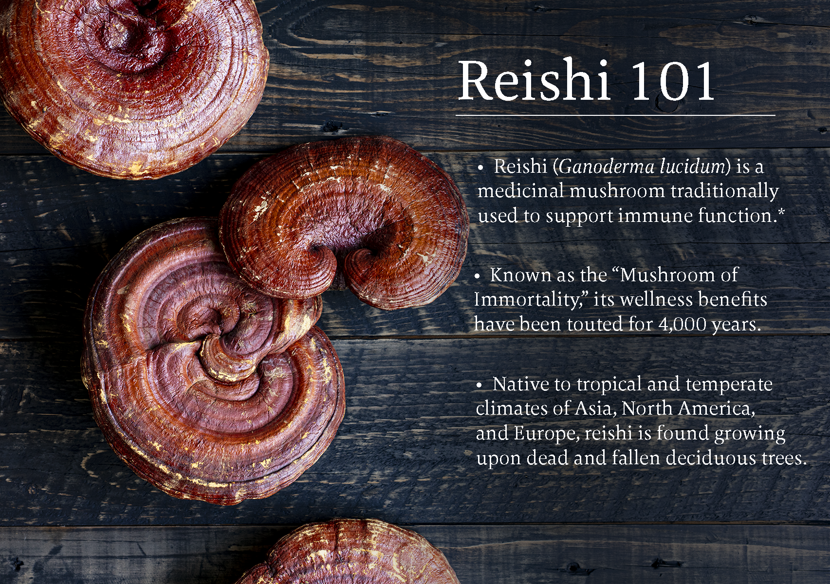 https://cdn.shopify.com/s/files/1/0506/7037/0997/files/V2_Reishi-101-Infographic_ErinScott_TM_August2019_reishi_101-4794.png?v=1661673161