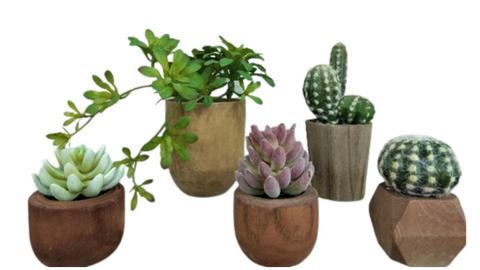 Natural Wood Containers, Faux Botanicals