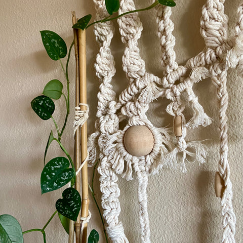 Scindapsus Pictus (Satin Pothos) with a macrame wall hanging