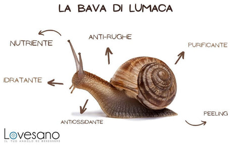 le sei proprietà della bava di lumaca