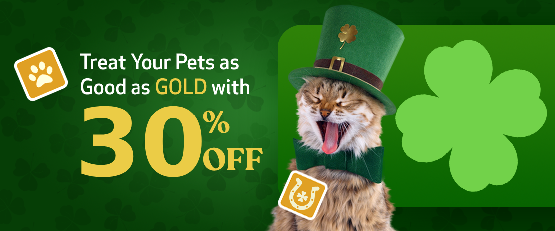 st-patricks-day-banner-cats