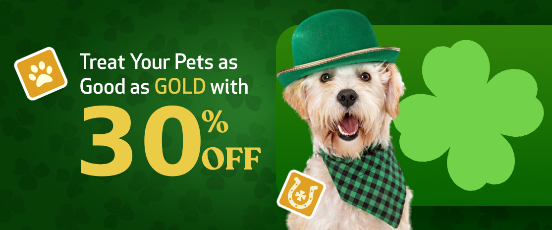 st-patricks-day-banner-dogs