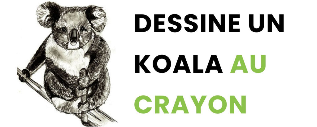 Dessin De Koala Au Crayon Facile Univers De Koala