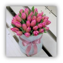 Box of pink Tulips