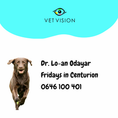 Veterinary Ophthalmologist Dr. Lo-an Odayar Consults Fridays in Centurion 0646100401