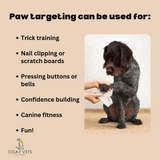 Benefits of training a paw target trick training nail clipping canine fitness 