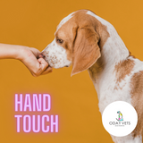 Dog nose touching hand touch behaviour cue command to teach puppy oday vets dog training