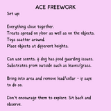 ACE freework instructions