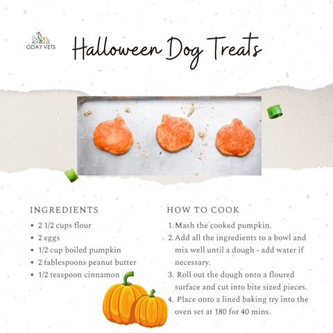 Oday Vets Halloween Homemade Dog Treats Recipe