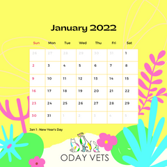 Oday Vets January 2022 Monthly Planner Free Download