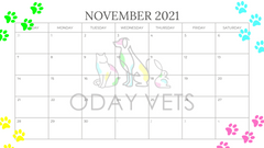 Oday Vets November 2021 Daily Planner