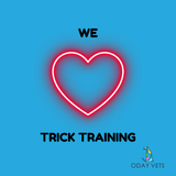 We love trick training dogs oday vets