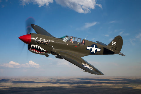 P40 Warhawk air to air photo