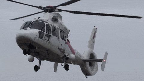 Eurocopter AS365N Dauphin landing