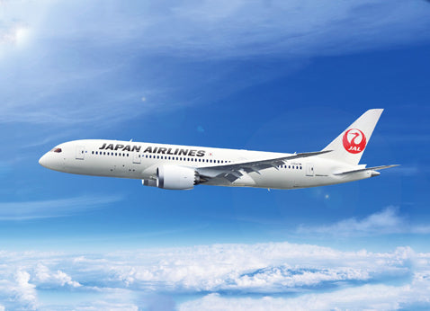Japan Airlines 787 Dreamliner